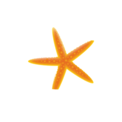 <span style="color: #07aefc"></span>素材