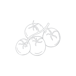 <span style="color: #07aefc"></span>素材