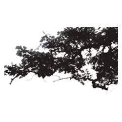 <span style="color: #07aefc"></span>素材