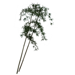 <span style="color: #07aefc"></span>素材