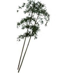 <span style="color: #07aefc"></span>素材