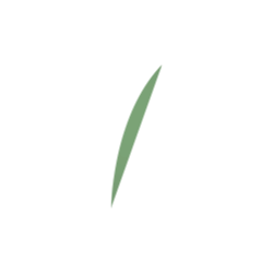 <span style="color: #07aefc"></span>素材