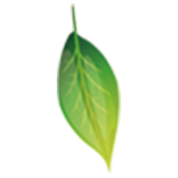 <span style="color: #07aefc"></span>素材