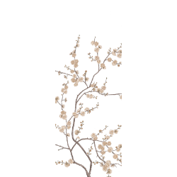 <span style="color: #07aefc"></span>素材