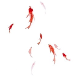 <span style="color: #07aefc"></span>素材