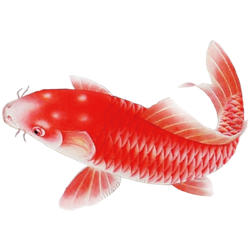 <span style="color: #07aefc"></span>素材
