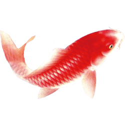 <span style="color: #07aefc"></span>素材