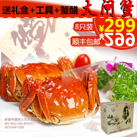 <span style="color: #07aefc"></span>大闸蟹   食物  电商促销淘宝主图模板